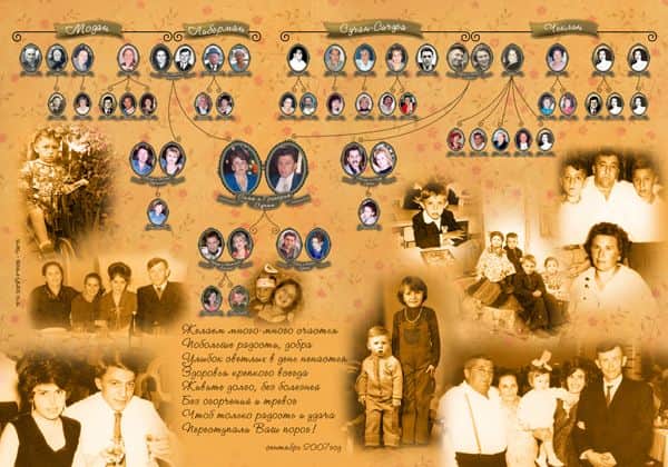 אילן יוחסין family tree